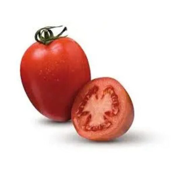 Tomate Malloa Kg