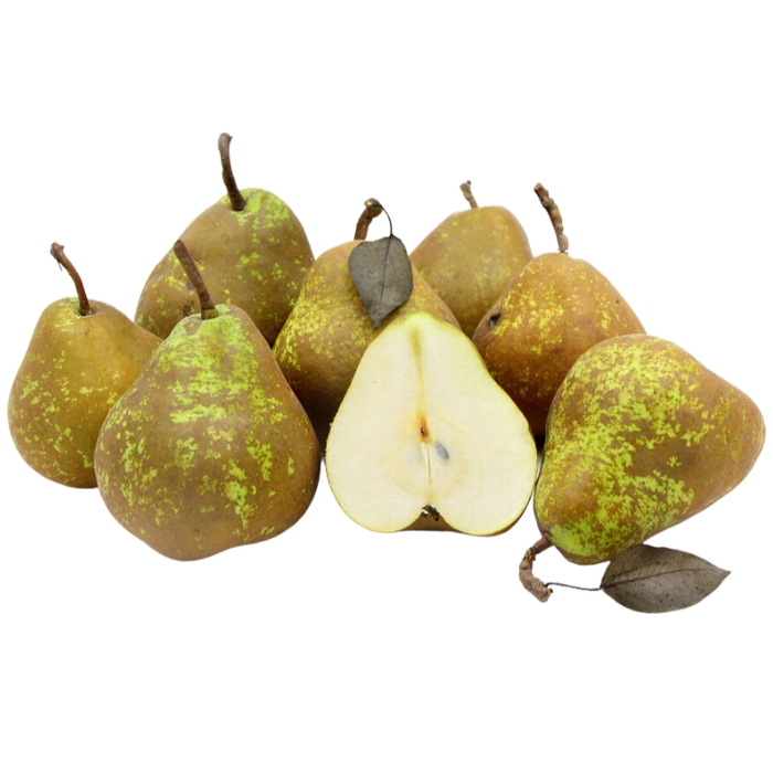 Pera Winter Nelly kg